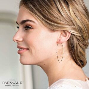Park Lane Twizzler Earrings Silver